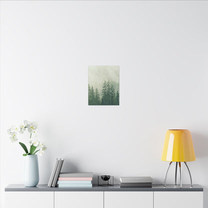 Forest Trees, Matte Canvas, Stretched, 0.75"