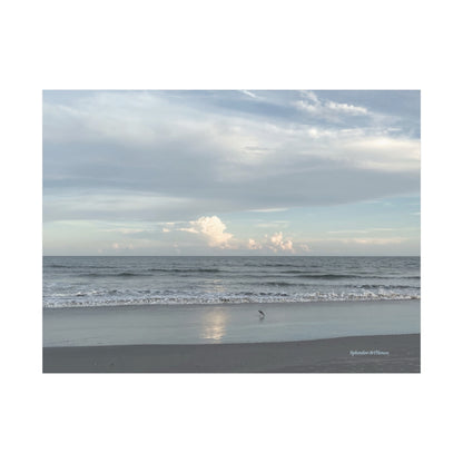 Ocean, Matte Canvas, Stretched, 1.25"