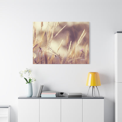 Grass, Matte Canvas, Stretched, 1.25"