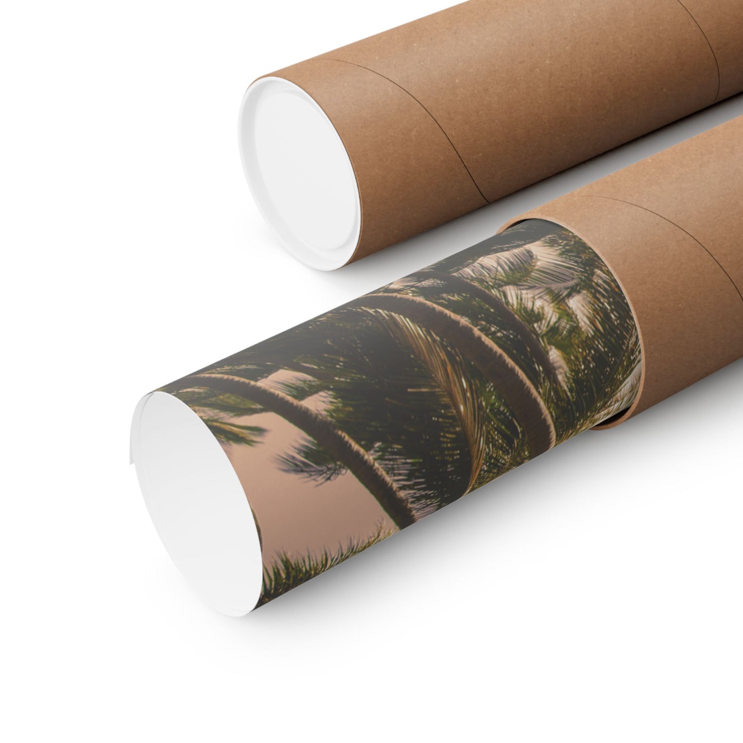 Palm Trees, Matte Horizontal Poster