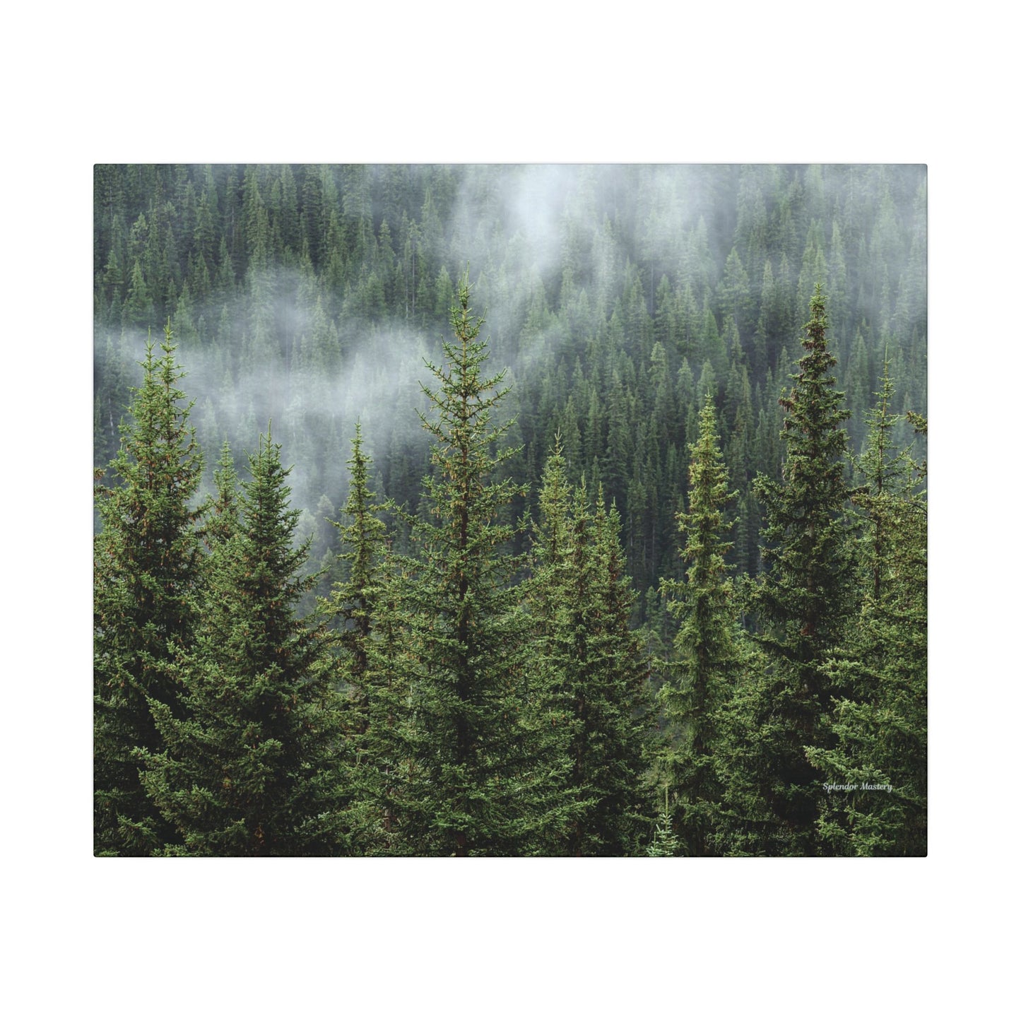 Trees, Matte Canvas, Stretched, 0.75"