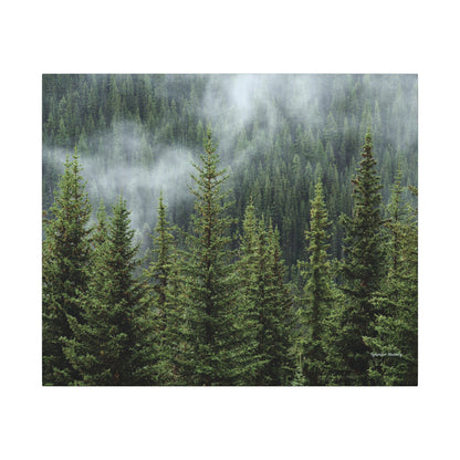 Trees, Matte Canvas, Stretched, 0.75"