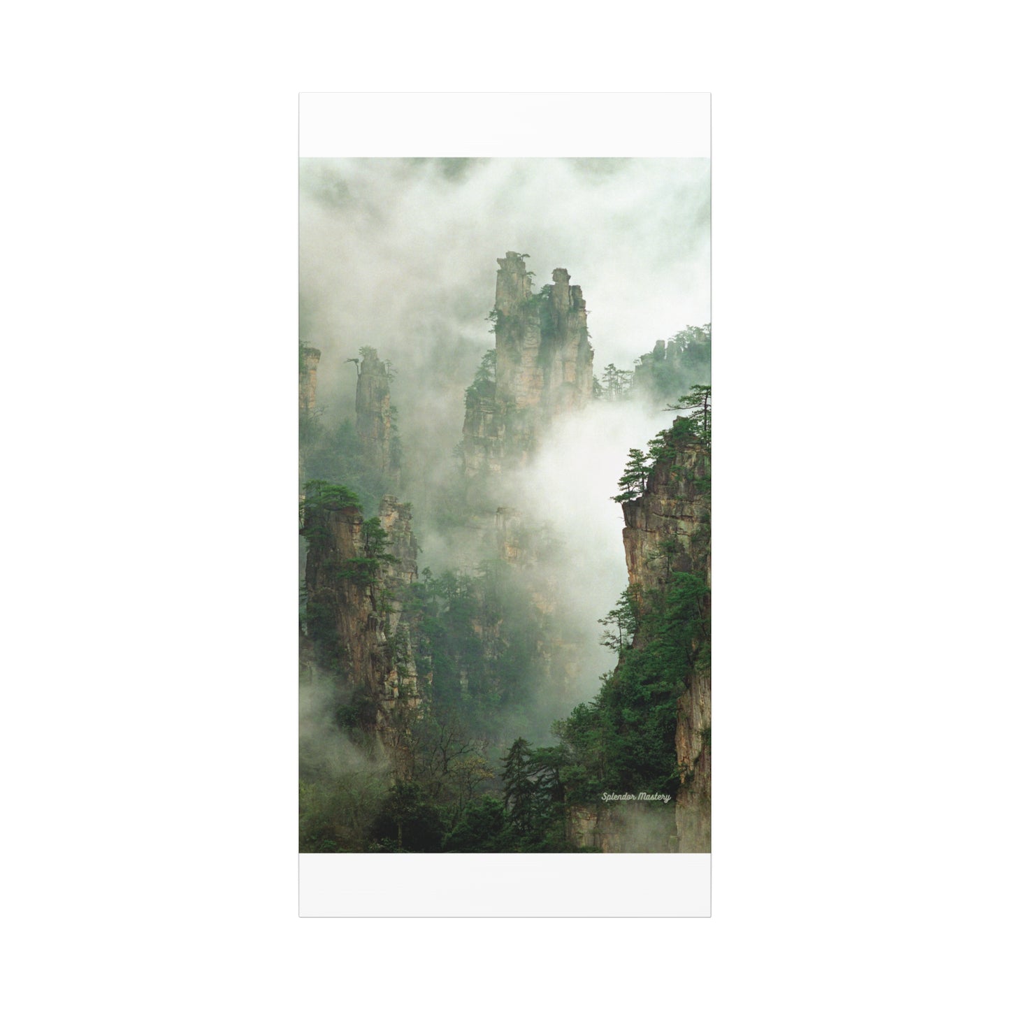 Forest, Matte Canvas, Stretched, 1.25"