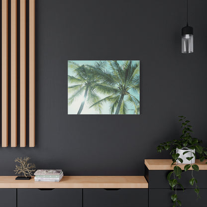Palm Trees, Matte Canvas, Stretched, 1.25"