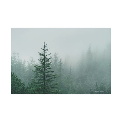Forest Trees, Matte Canvas, Stretched, 0.75"