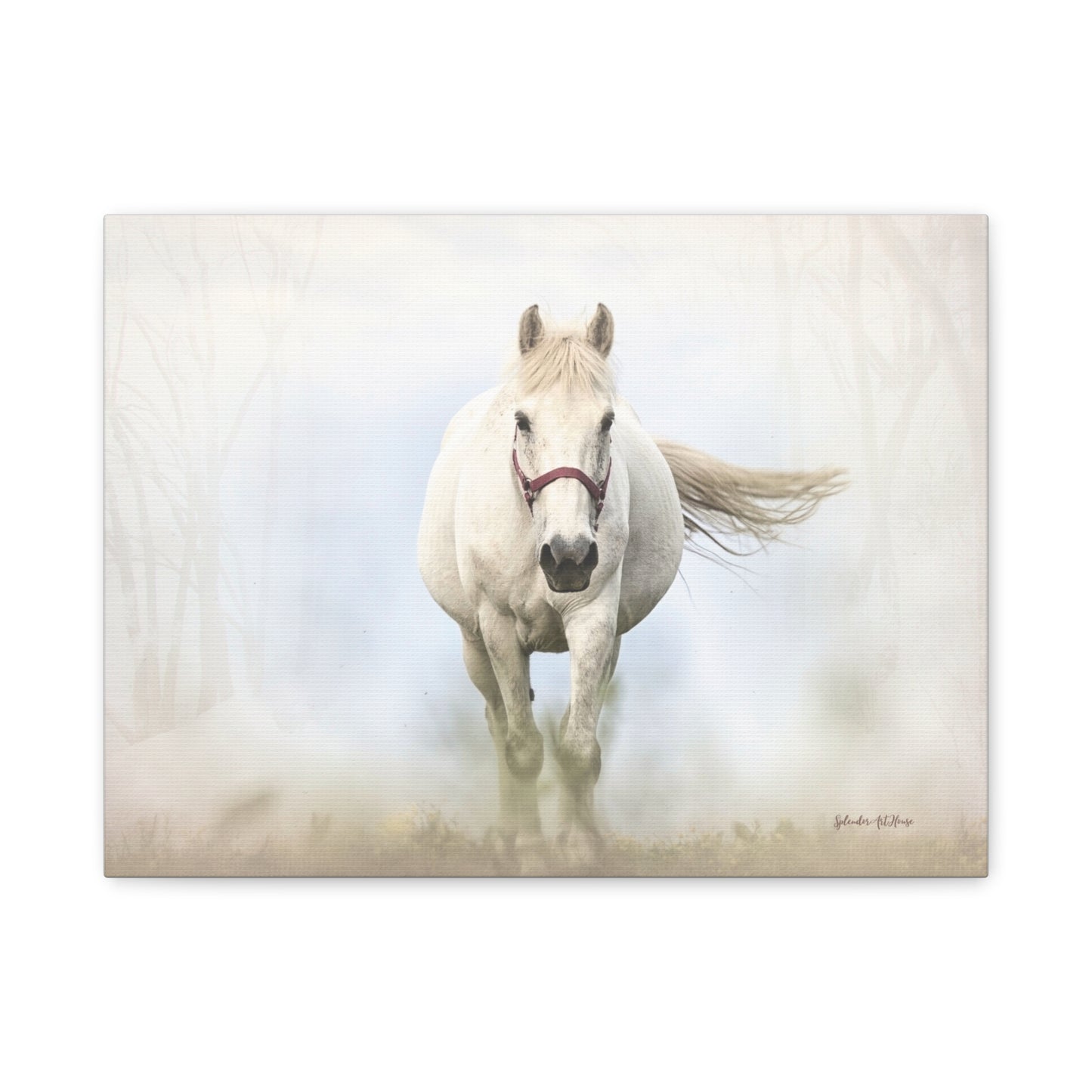 Horse, Matte Canvas, Stretched, 1.25"