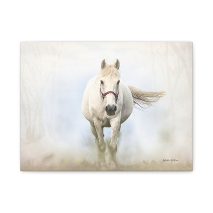 Horse, Matte Canvas, Stretched, 1.25"