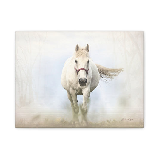 Horse, Matte Canvas, Stretched, 1.25"