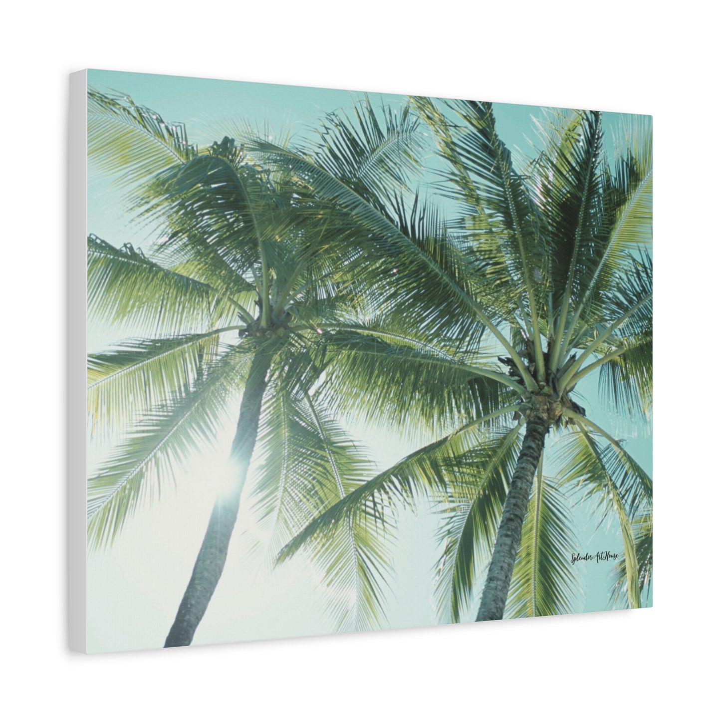 Palm Trees, Matte Canvas, Stretched, 1.25"
