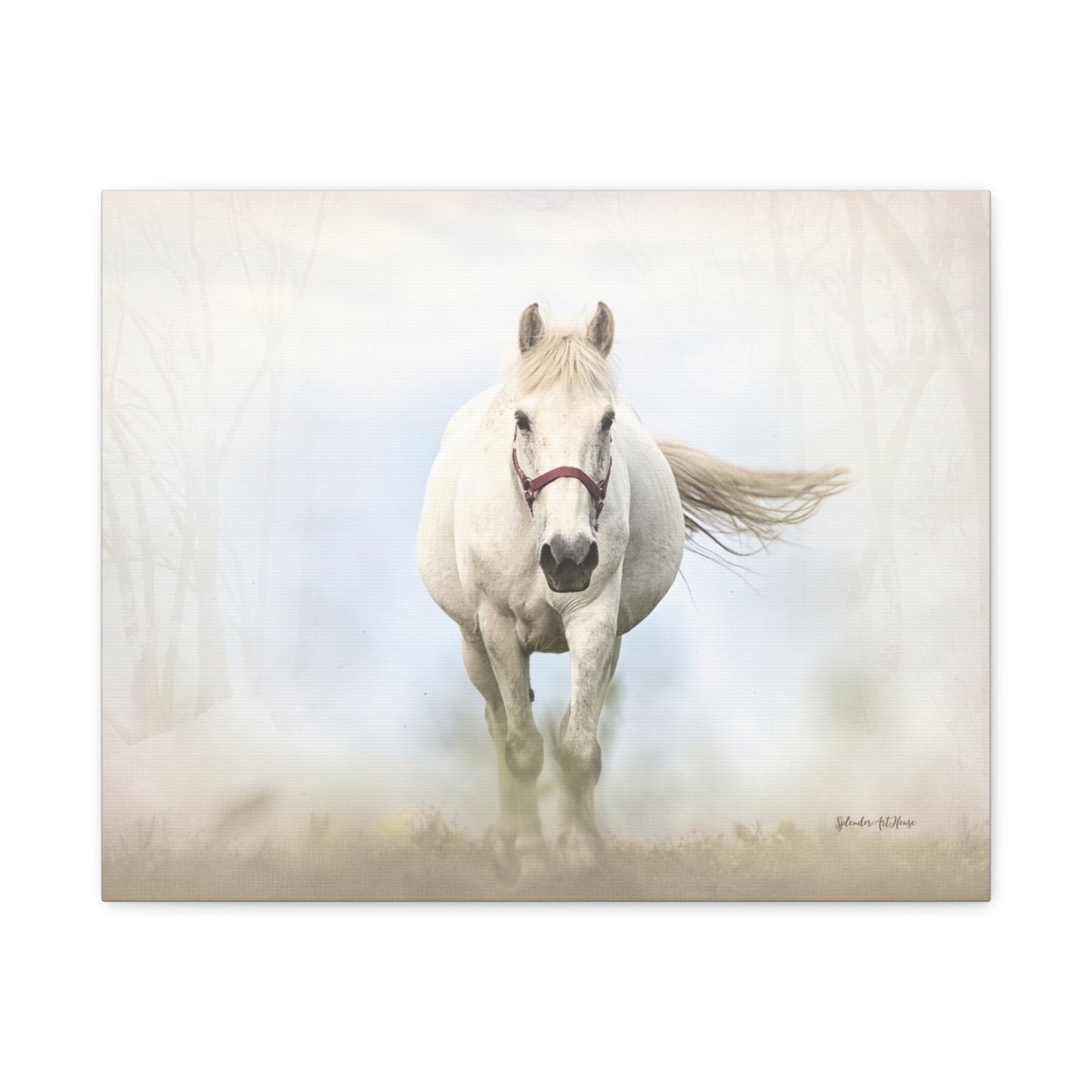 Horse, Matte Canvas, Stretched, 1.25"