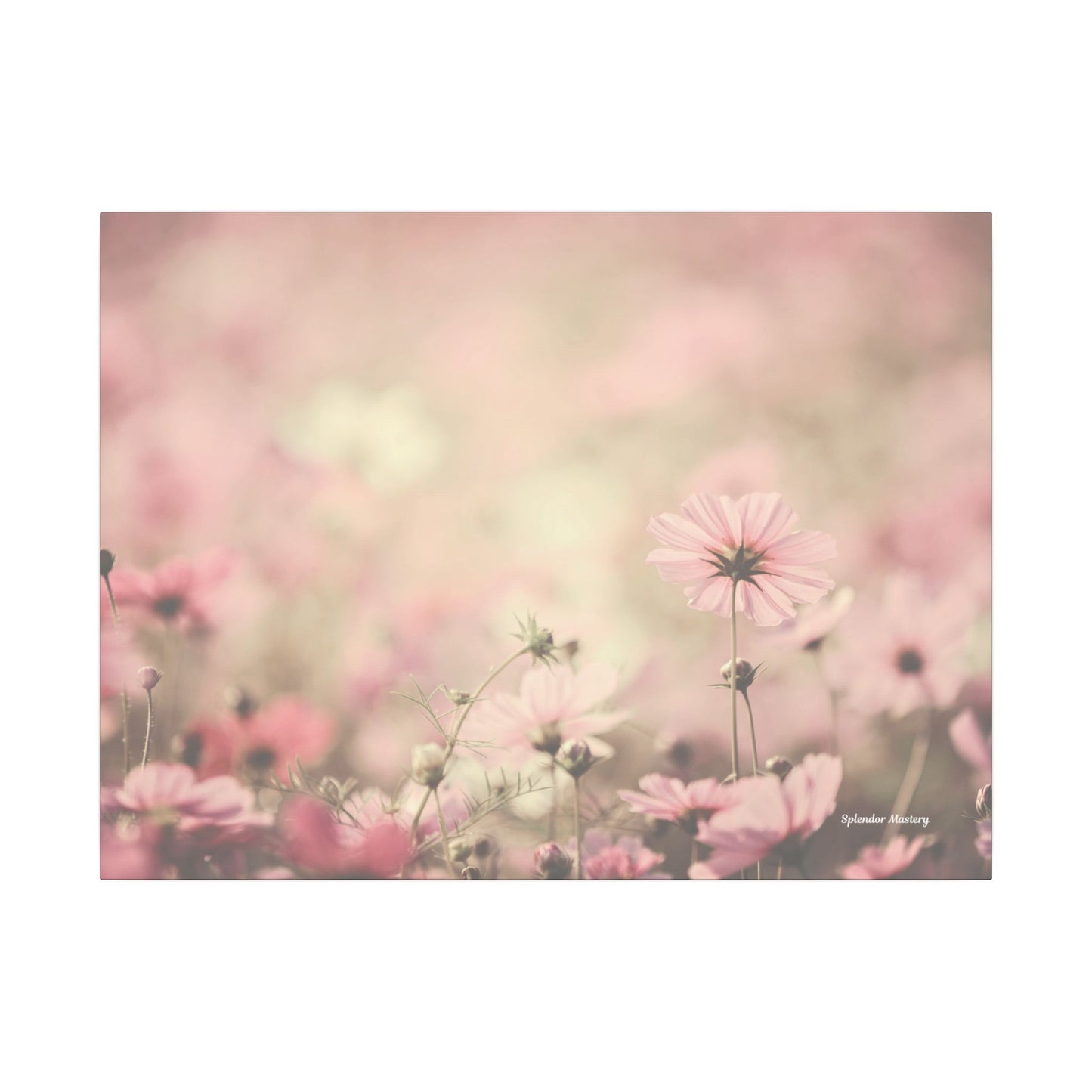 Floral, Matte Canvas, Stretched, 0.75"