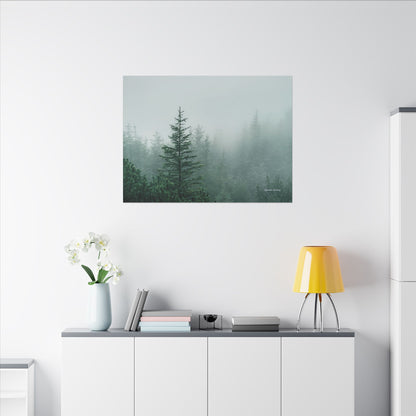Forest Trees, Matte Canvas, Stretched, 0.75"
