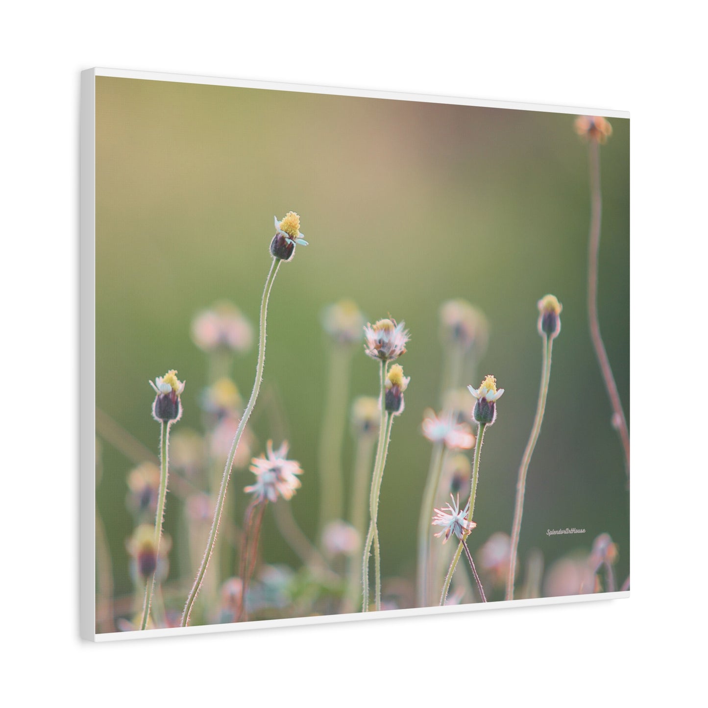 Floral, Matte Canvas, Stretched, 1.25"