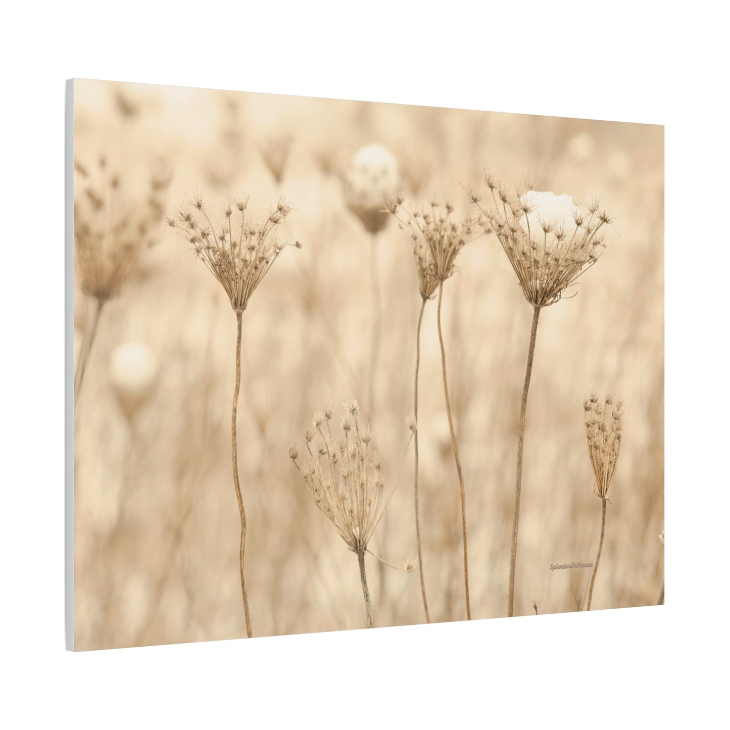 Floral, Matte Canvas, Stretched, 1.25"