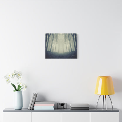 Forest, Matte Canvas, Stretched, 1.25"
