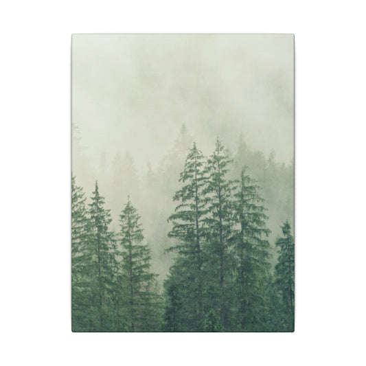 Forest Trees, Matte Canvas, Stretched, 0.75"