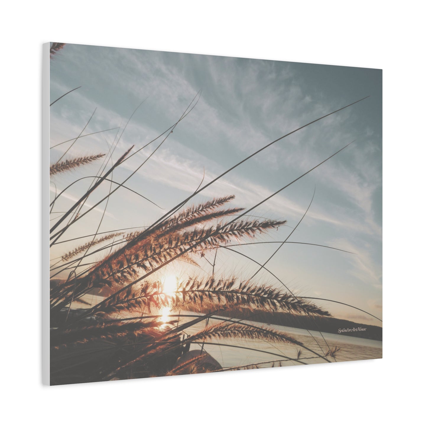Grass, Matte Canvas, Stretched, 1.25"