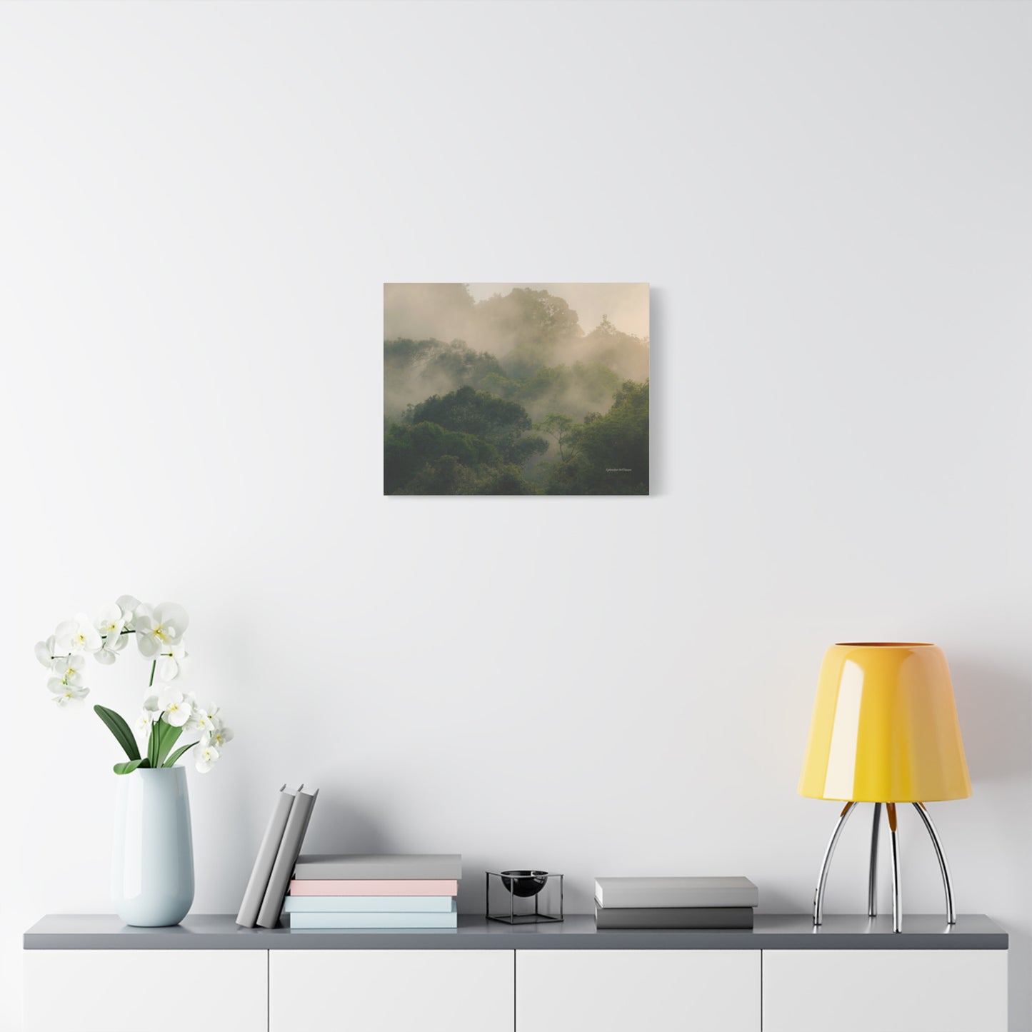 Forest, Matte Canvas, Stretched, 1.25"