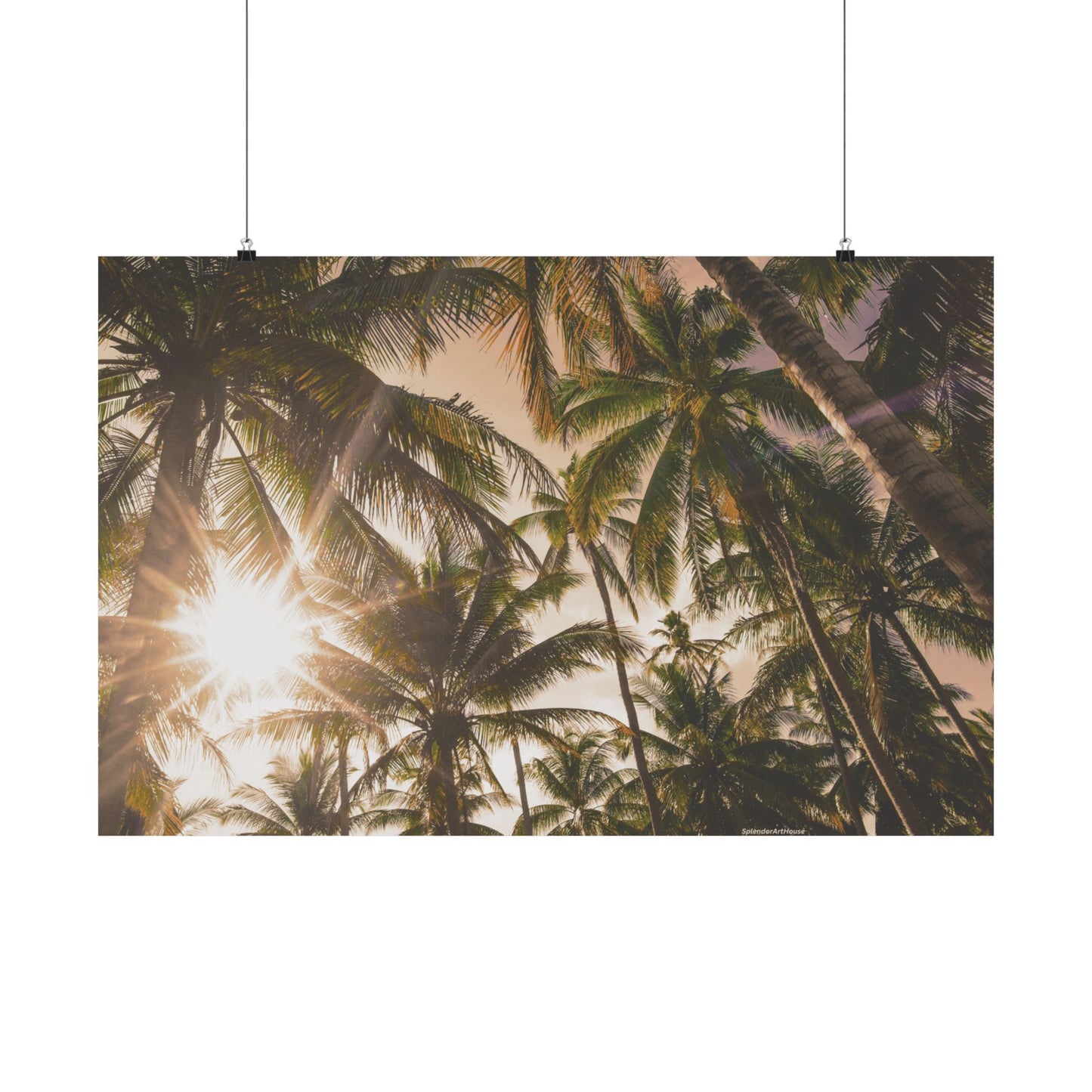 Palm Trees, Matte Horizontal Poster