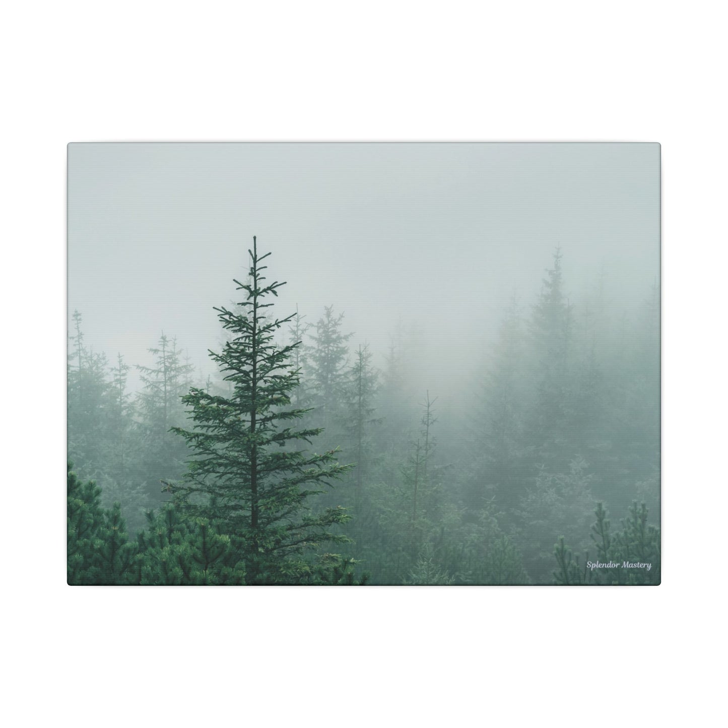 Forest Trees, Matte Canvas, Stretched, 0.75"