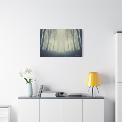 Forest, Matte Canvas, Stretched, 1.25"