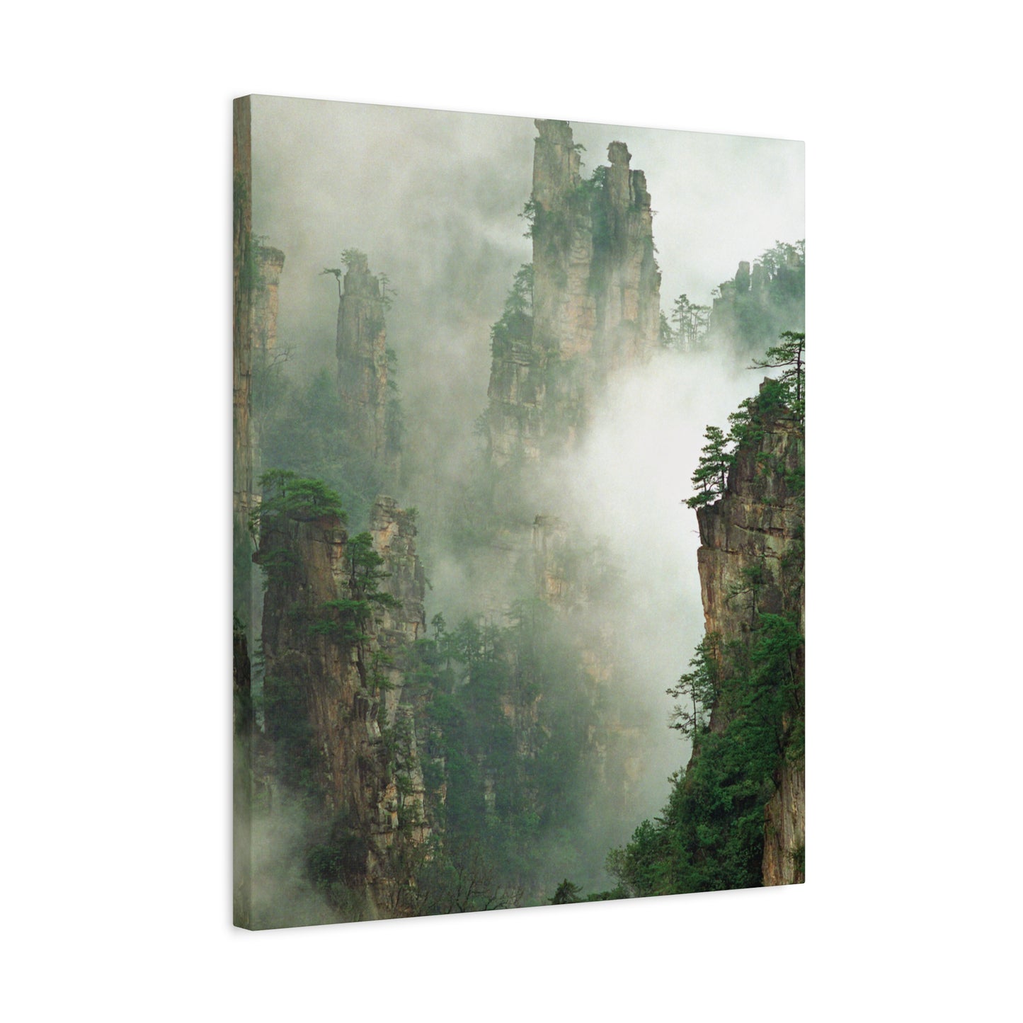 Forest, Matte Canvas, Stretched, 1.25"