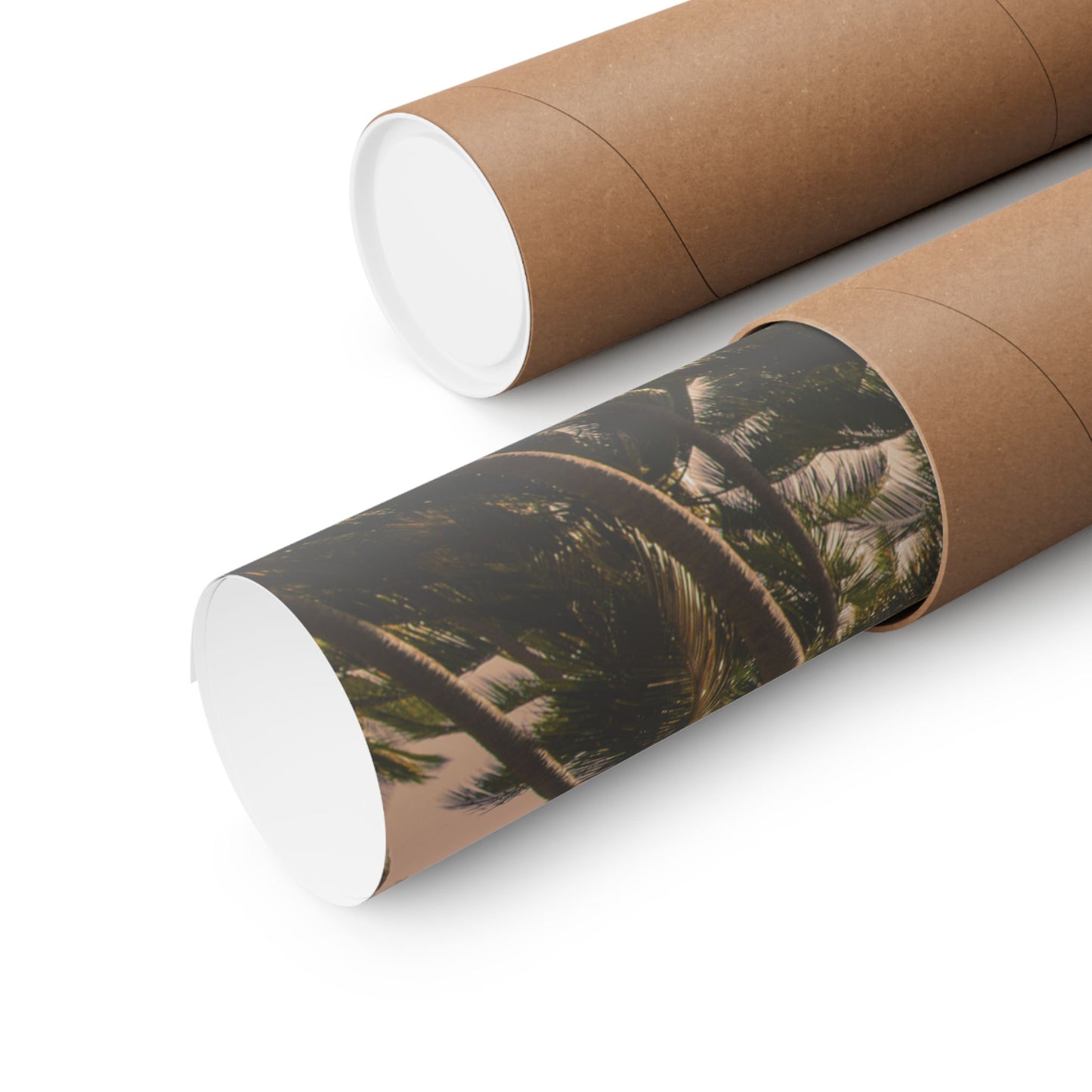 Palm Trees, Matte Horizontal Poster