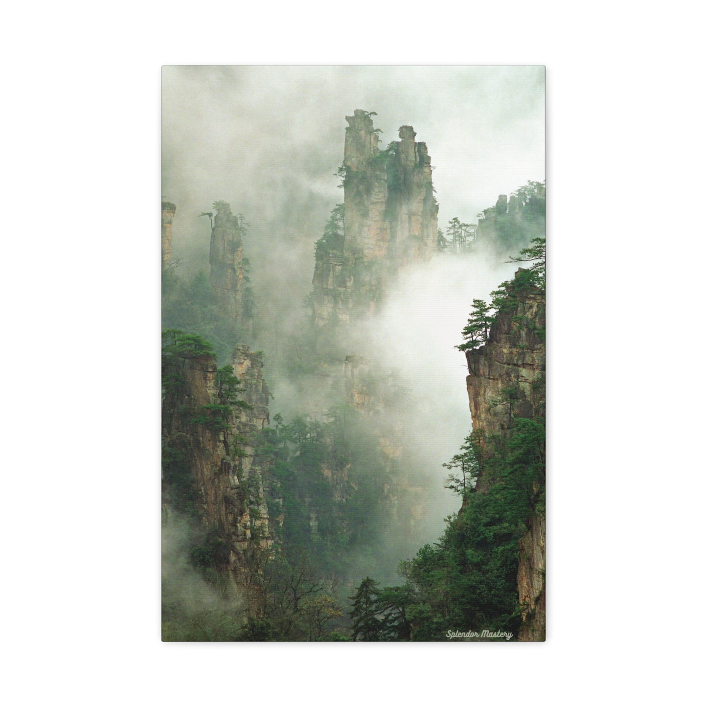 Forest, Matte Canvas, Stretched, 1.25"