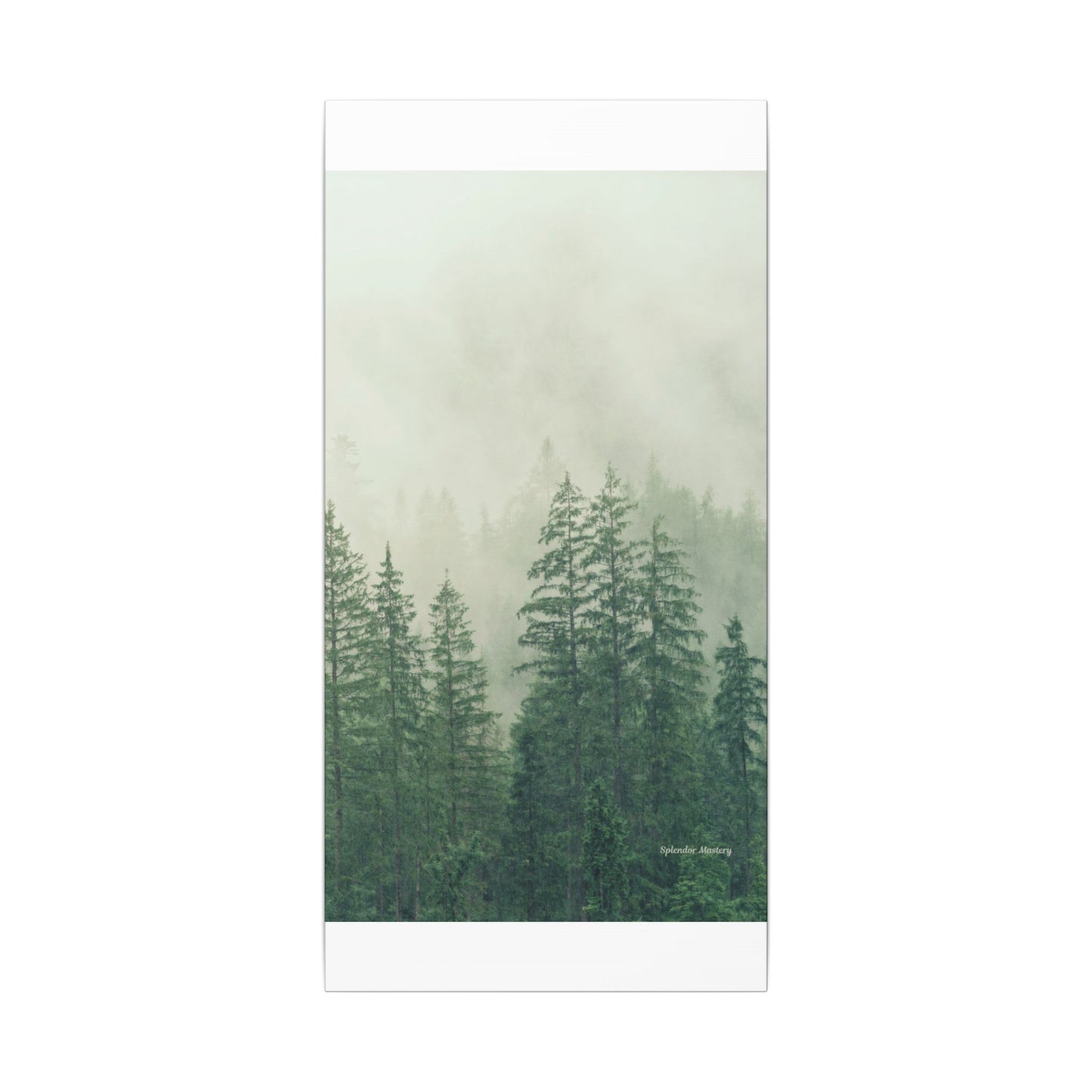 Forest Trees, Matte Canvas, Stretched, 0.75"