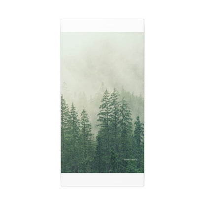Forest Trees, Matte Canvas, Stretched, 0.75"