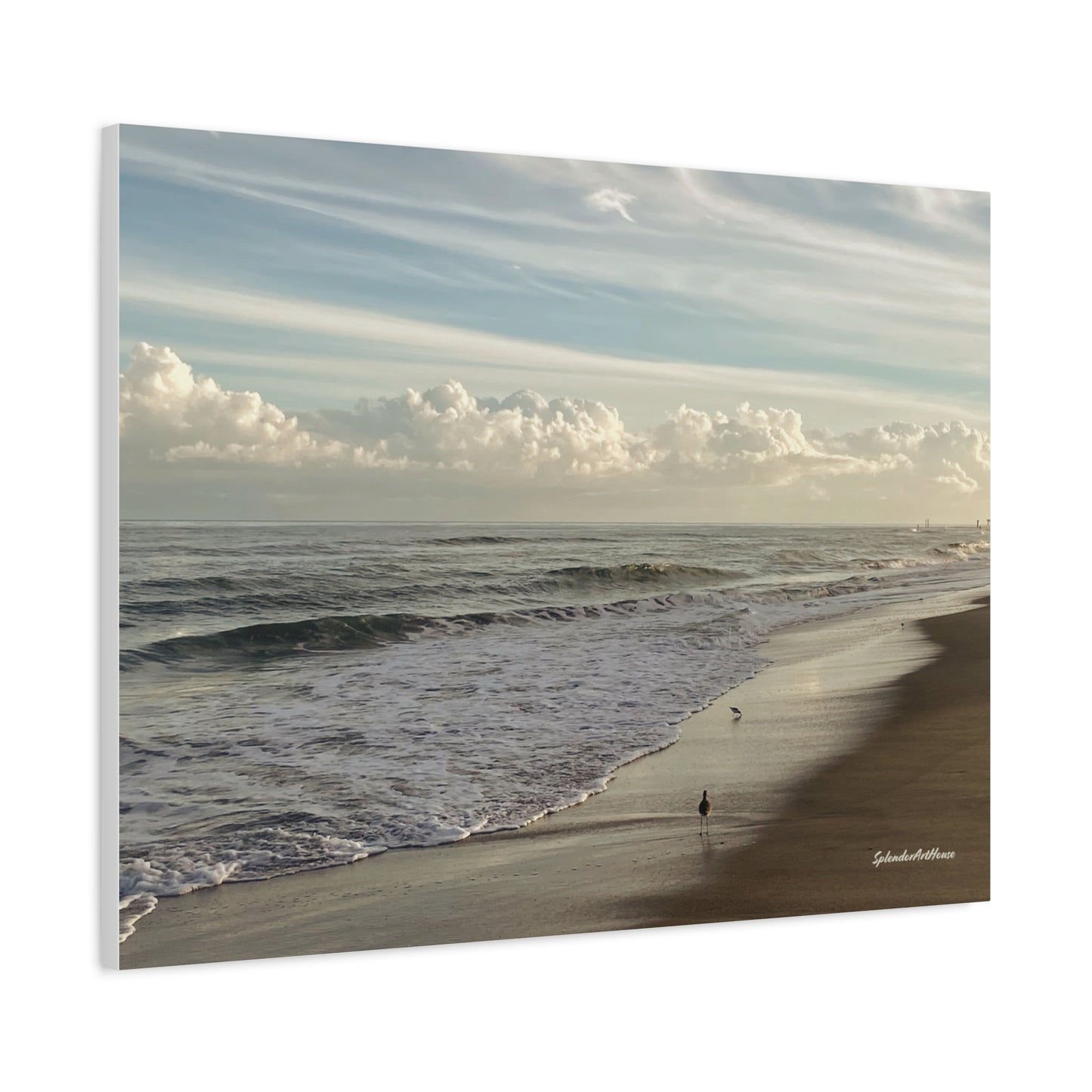 Ocean, Matte Canvas, Stretched, 1.25"