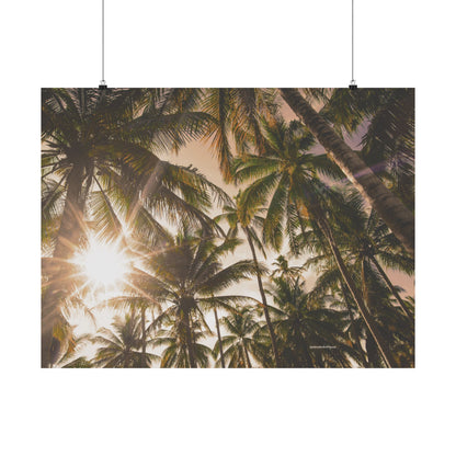 Palm Trees, Matte Horizontal Poster