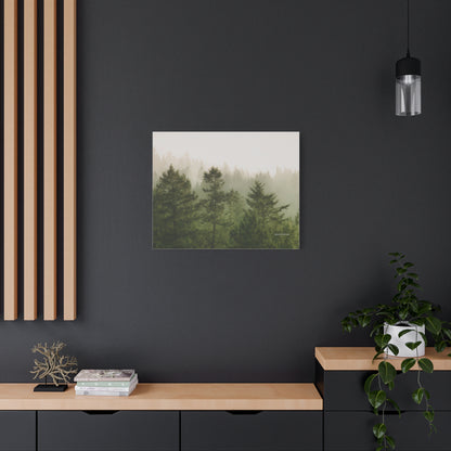 Forest, Matte Canvas, Stretched, 1.25"