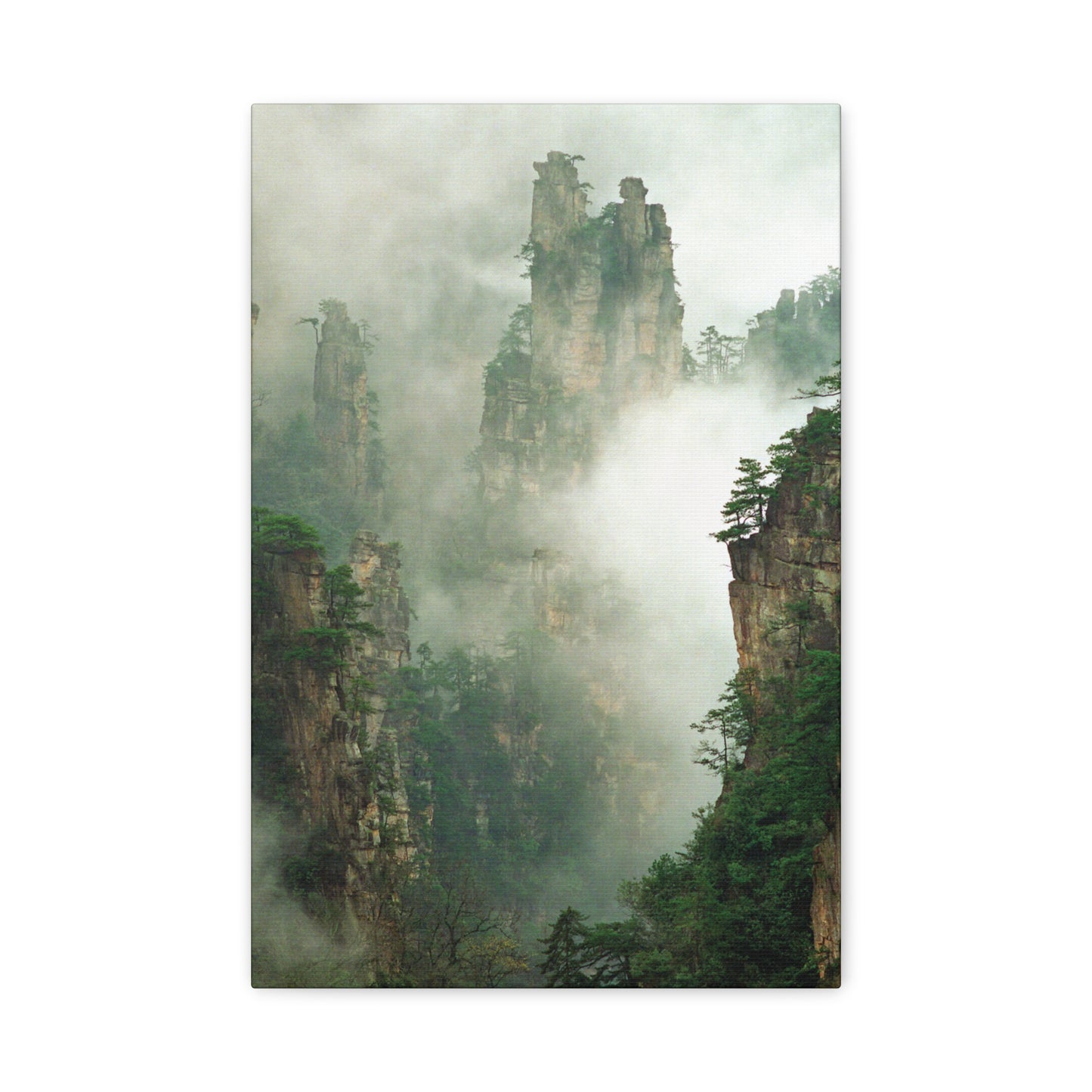 Forest, Matte Canvas, Stretched, 1.25"