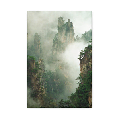 Forest, Matte Canvas, Stretched, 1.25"