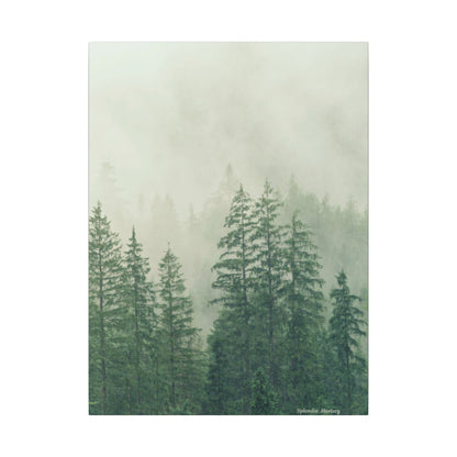 Forest Trees, Matte Canvas, Stretched, 0.75"