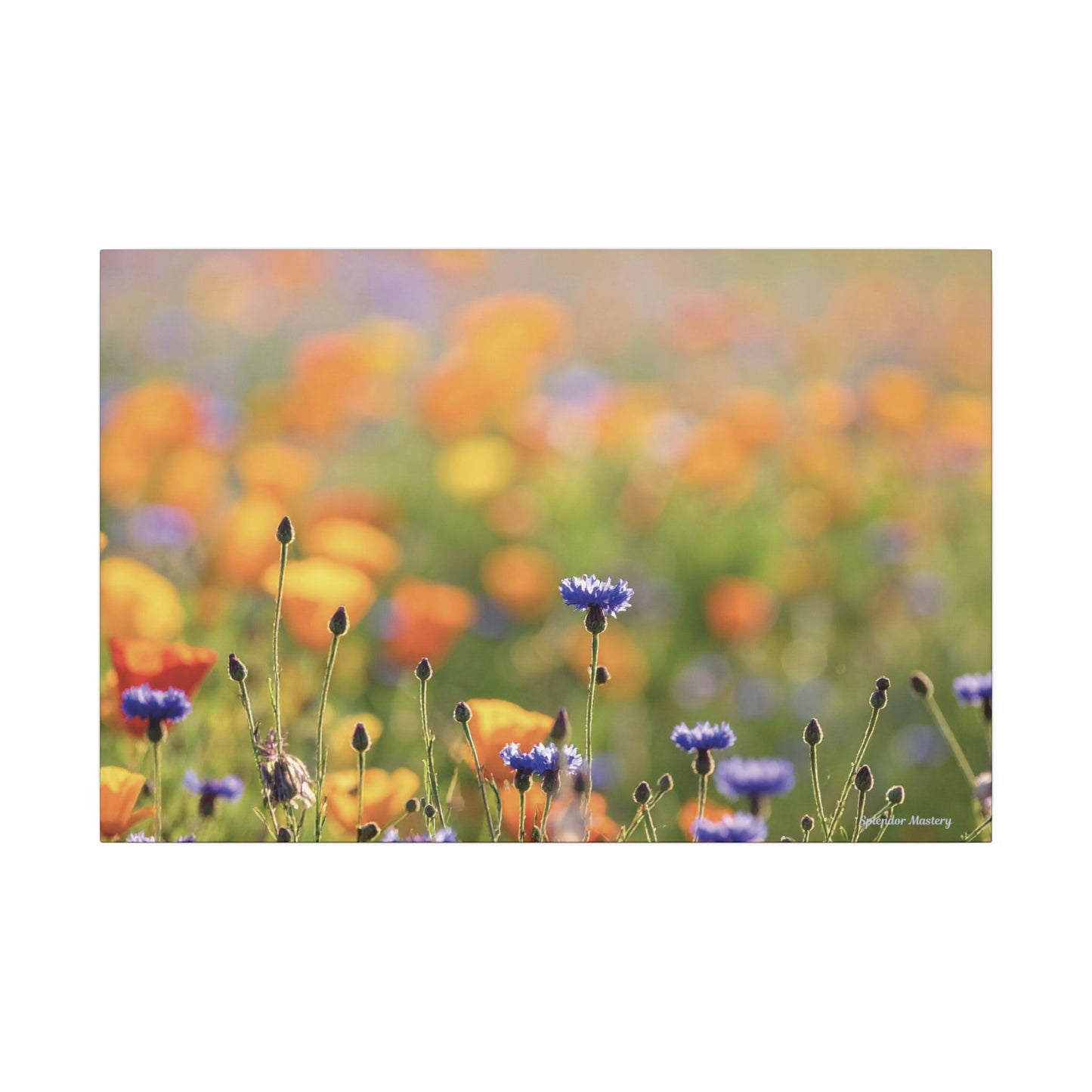 Floral, Matte Canvas, Stretched, 0.75"