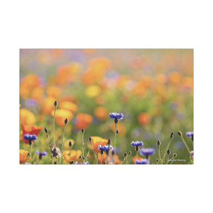 Floral, Matte Canvas, Stretched, 0.75"