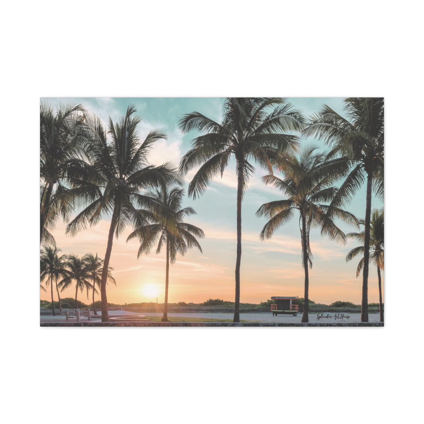 Palm Trees, Matte Canvas, Stretched, 1.25"