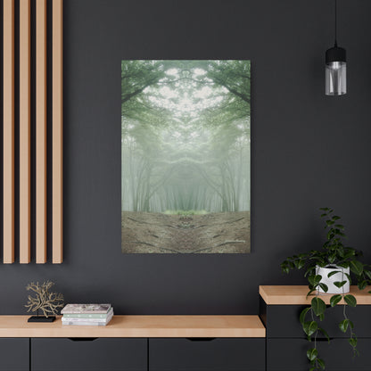 Forest, Matte Canvas, Stretched, 1.25"
