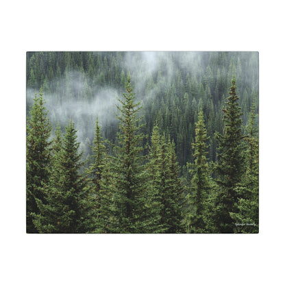 Trees, Matte Canvas, Stretched, 0.75"