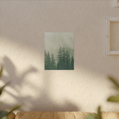 Forest Trees, Matte Canvas, Stretched, 0.75"