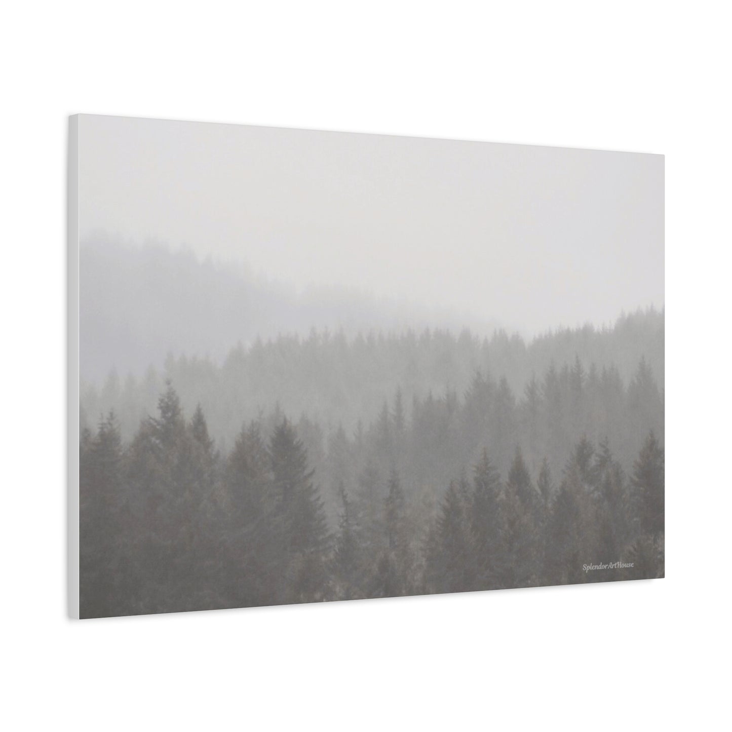 Forest, Matte Canvas, Stretched, 1.25"