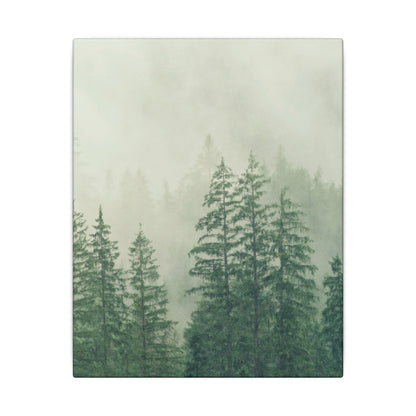 Forest Trees, Matte Canvas, Stretched, 0.75"