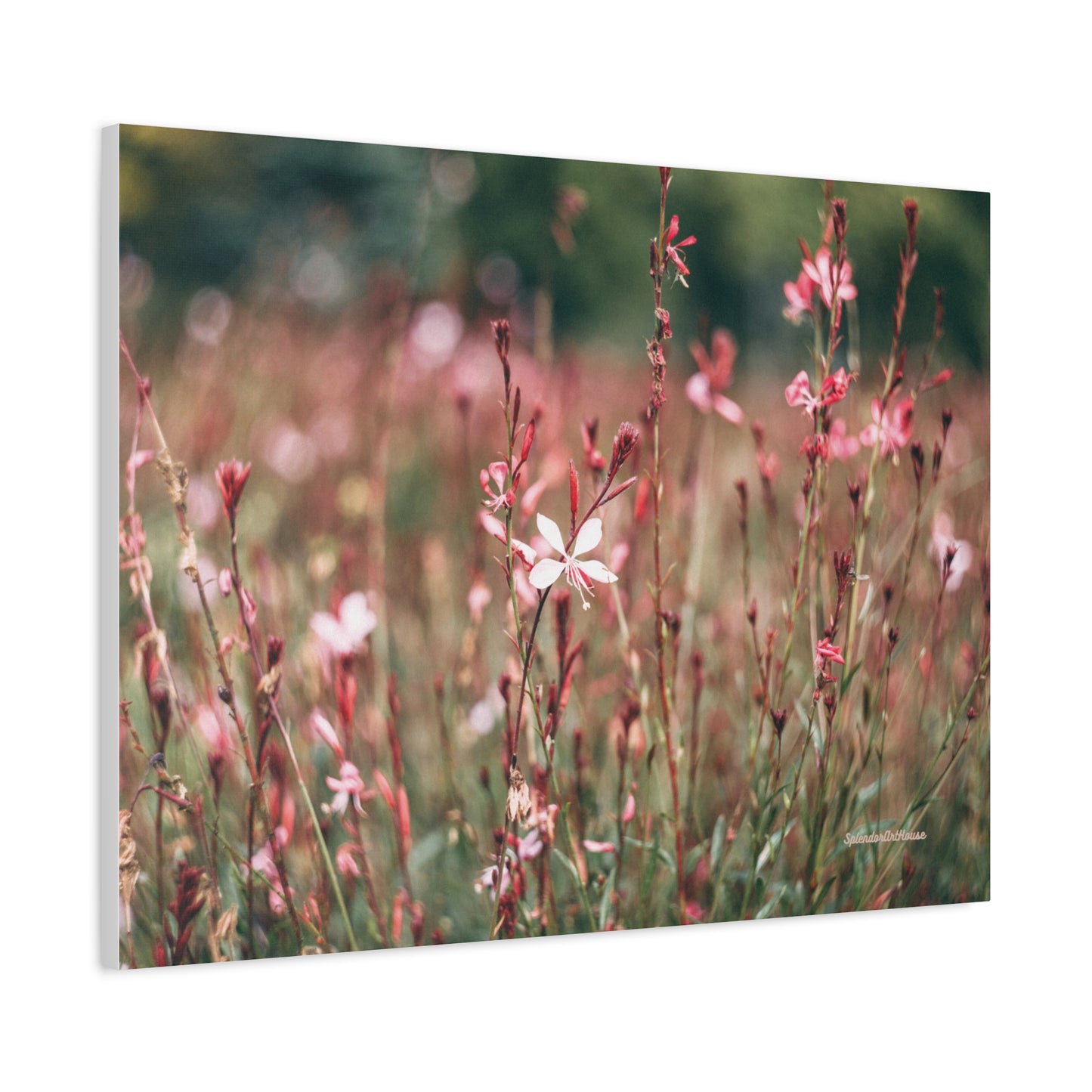 Floral, Matte Canvas, Stretched, 1.25"