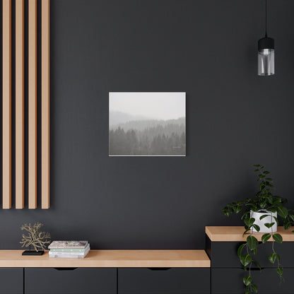 Forest, Matte Canvas, Stretched, 1.25"