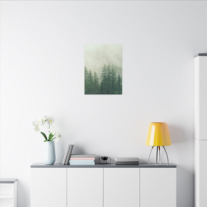 Forest Trees, Matte Canvas, Stretched, 0.75"