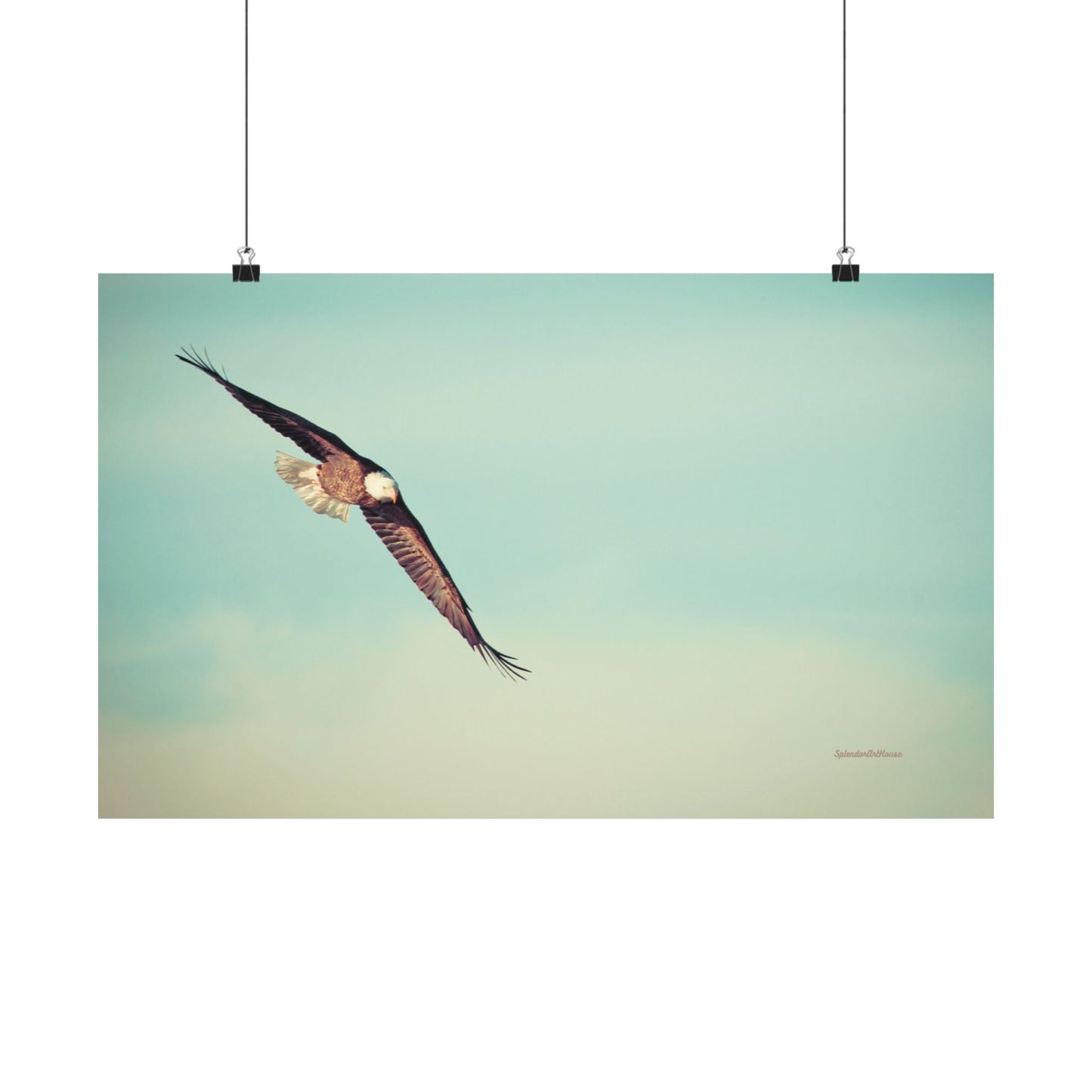 Bird, Matte Horizontal Poster