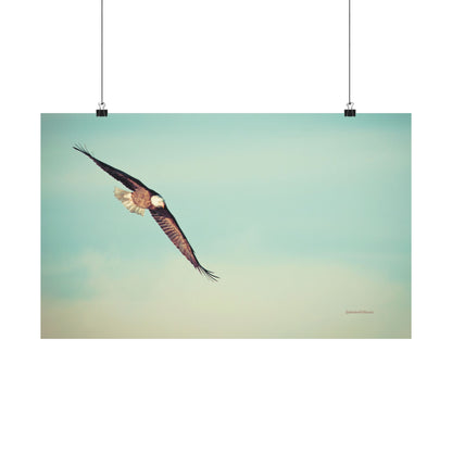 Bird, Matte Horizontal Poster