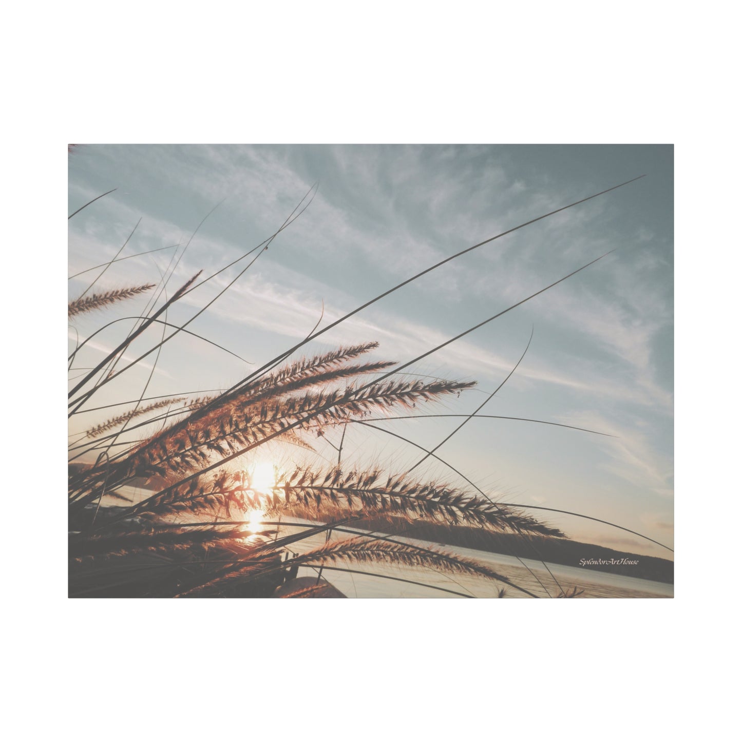 Grass, Matte Canvas, Stretched, 1.25"